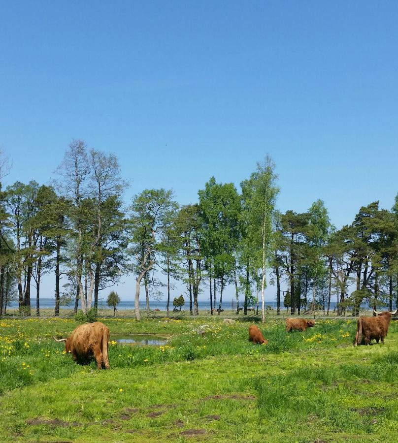 Ranna Villa Farm Kudema Exterior photo